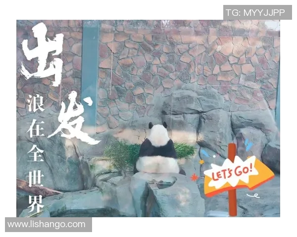 熊猫姚明头像的魅力与文化象征探讨，展现体育与艺术的完美结合